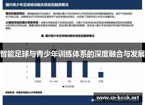 智能足球与青少年训练体系的深度融合与发展